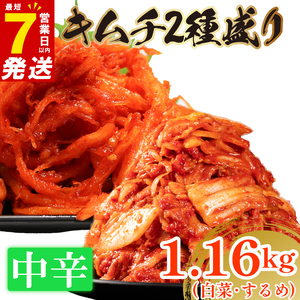 【 旨辛 】 中辛 白菜 キムチ 1kg+ するめキムチ 160g  小分け いか 食べ比べ 冷蔵 かわち屋