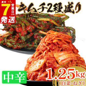 【 旨辛 】 中辛 白菜 キムチ 1kg+ ねぎキムチ 250g  小分け 食べ比べ 冷蔵 かわち屋