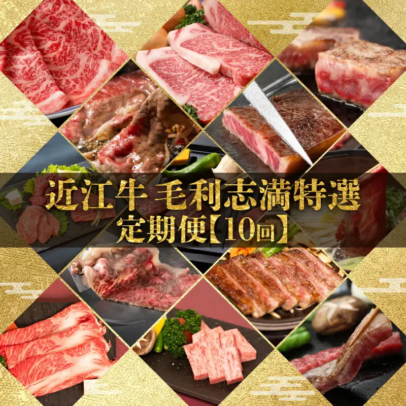 定期便 近江牛 食べ比べ 全10回                                                         