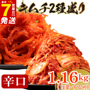 【 旨辛 】 辛口 白菜 キムチ 1kg+ するめキムチ 160g  小分け 食べ比べ 冷蔵 かわち屋