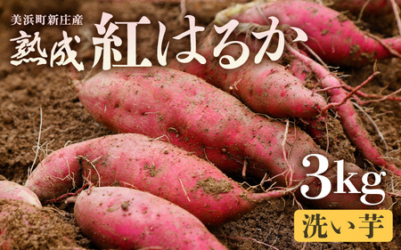【先行予約】大谷原の熟成さつまいも (3kg 洗い芋) 約15本【入手困難・数量限定】【2026年10月下旬以降順次発送予定】【サツマイモ 芋 紅はるか】 [m23-a003]