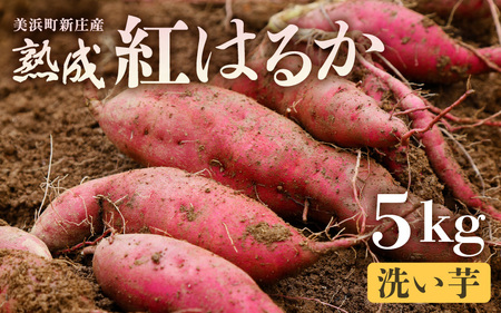 【先行予約】大谷原の熟成さつまいも (5kg 洗い芋) 約25本【入手困難・数量限定】【2026年10月下旬以降順次発送予定】【サツマイモ 芋 紅はるか】 [m23-a005]
