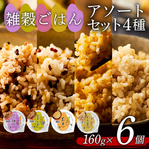 【玄米 雑穀米パック】 国産100% 4種セット 160g 6個 パックご飯 食べ比べ