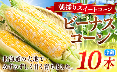 【先行予約】朝採り とうもろこし ビーナスコーン スイートコーン 10本 《8月上旬-8月末頃出荷予定》山下農場 バイカラー 大粒 コーン
