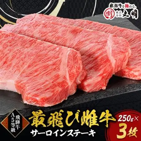 【最飛び雌牛】飛騨牛A5等級サーロインステーキ　250g×3枚【配送不可地域：離島】【1520145】