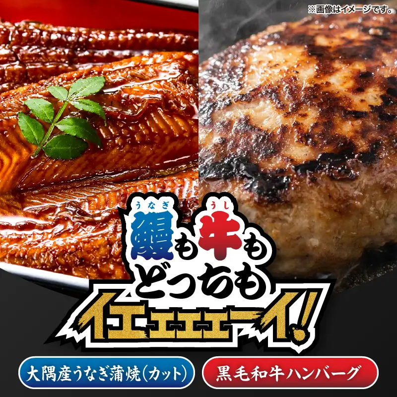 2471 【鰻も牛もどっちもイエェェェーイ！4】鹿児島県大隅産「カット」 うなぎ蒲焼 80g×1枚 うしの中山和牛100% ハンバーグ 2個 KN050-013 肉 牛肉 魚 冷凍