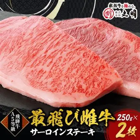 【最飛び雌牛】飛騨牛A5等級サーロインステーキ　250g×2枚【配送不可地域：離島】【1520149】