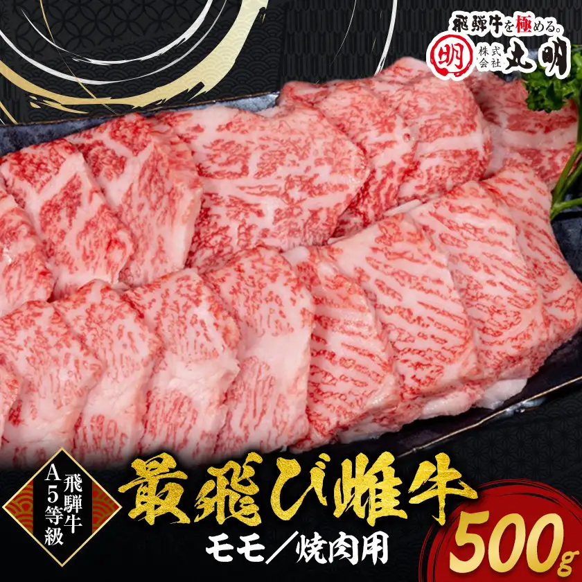 【最飛び雌牛】飛騨牛A5等級モモ焼き肉用　500g【配送不可地域：離島】【1520153】