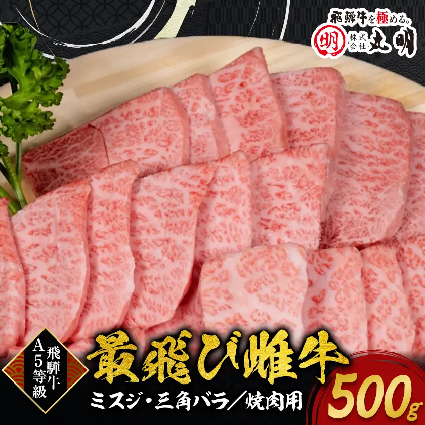 【最飛び雌牛】飛騨牛A5等級ミスジ・三角バラ焼肉用　500g【配送不可地域：離島】【1520156】