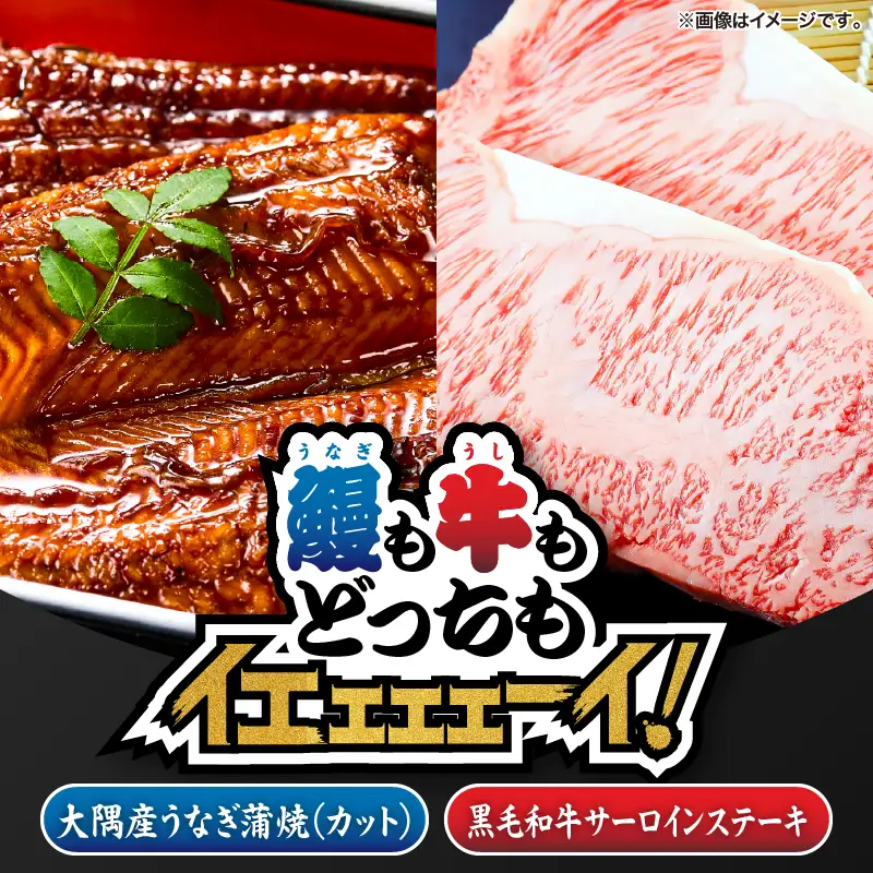 2472 【 鰻 も 牛 もどっちもイエェェェーイ！ 5 】 鹿児島県 大隅産 「 カット 」 うなぎ蒲焼 80g×1枚 うしの中山 サーロインステーキ 200g KN050-017 肉 牛肉 魚 冷凍