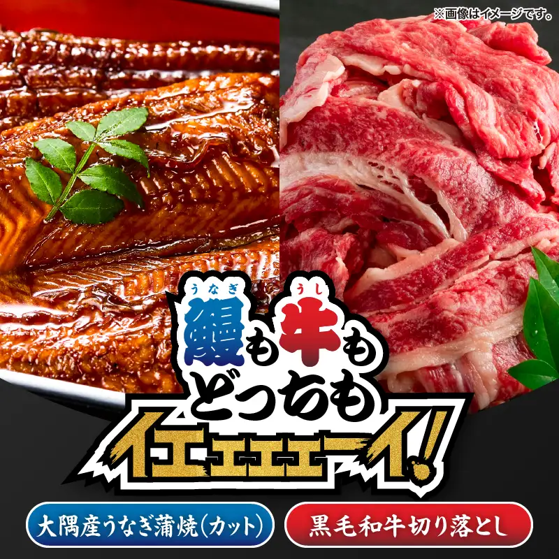 2474 【 鰻 も 牛 もどっちもイエェェェーイ！7】鹿児島県大隅産「カット」 うなぎ蒲焼 80g×2枚 最高級A5・ 黒毛和牛 切り落とし300g KN050-014 肉 牛肉 魚 冷凍