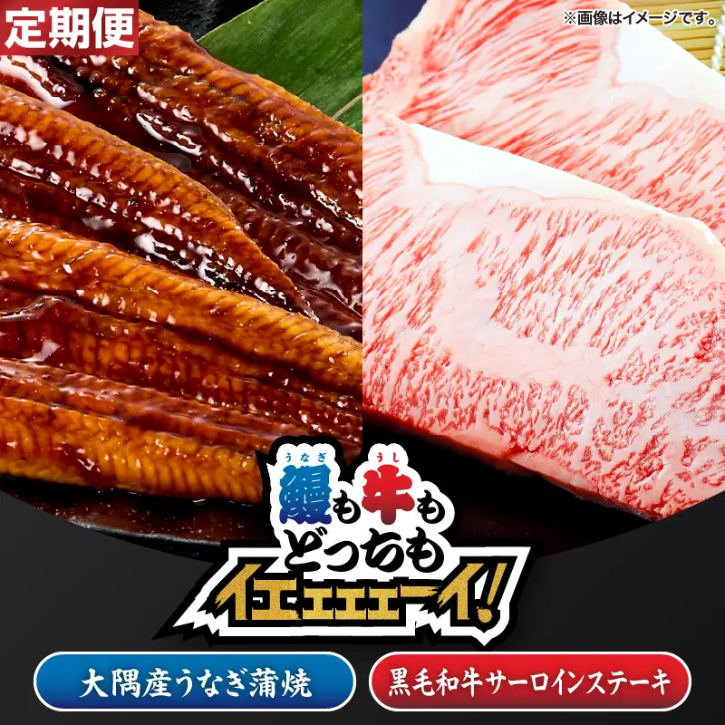 2476 【 定期3回 】【 鰻も牛もどっちもイエェェェーイ！ 8 】 鹿児島県 大隅産 うなぎ蒲焼 150g うしの中山 サーロインステーキ 200g KN050-T03 魚 肉 牛肉 冷凍