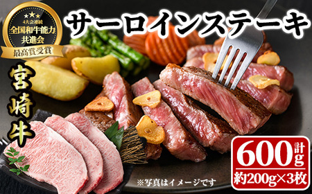 宮崎牛 サーロインステーキ(計600g・約200g×3枚)  牛肉 肉 ブランド牛  冷凍 国産 精肉 お取り寄せ 黒毛和牛 宮崎県 【LJ002】【ローカルブランディング株式会社】