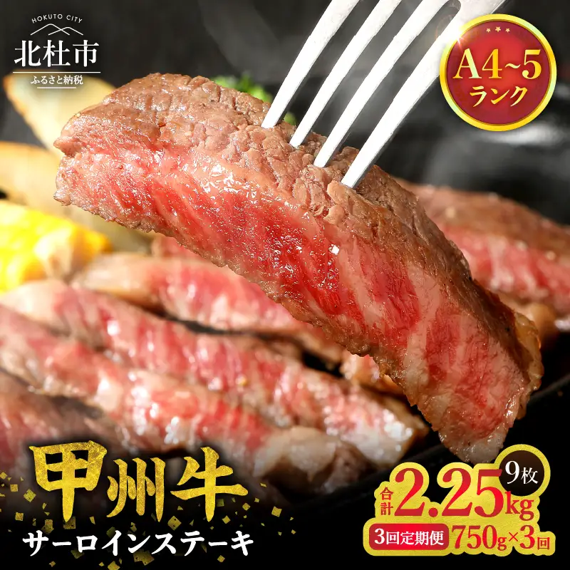 【3ヶ月定期便】山梨県北杜市産 甲州牛 黒毛和牛サーロインステーキ3枚 [h021]