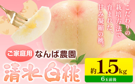 ご家庭用 清水白桃 約1.5kg なんば農園    