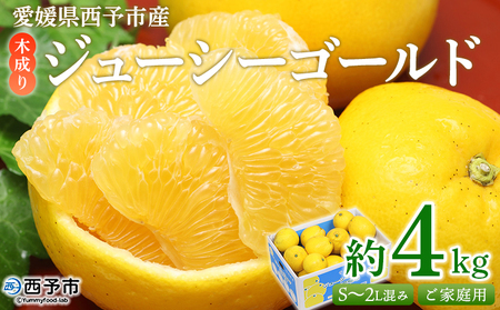 ＜木成り ジューシーゴールド（河内晩柑）ご家庭用 約4kg（S～2L混合）＞ 訳あり 果物 フルーツ かわちばんかん みかん オレンジ 柑橘 食べて応援 特産品 宇都宮物産 愛媛県 西予市 【常温】『2026年6月中旬～8月中旬迄に順次出荷予定』UUB0047