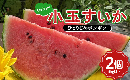 【令和8年度発送】シャリっと！小玉すいか（ひとりじめボンボン）4kg以上 2個 スイカ すいか 西瓜 デザート フルーツ 果物 くだもの 果実 食品 山形県 FSY-1304