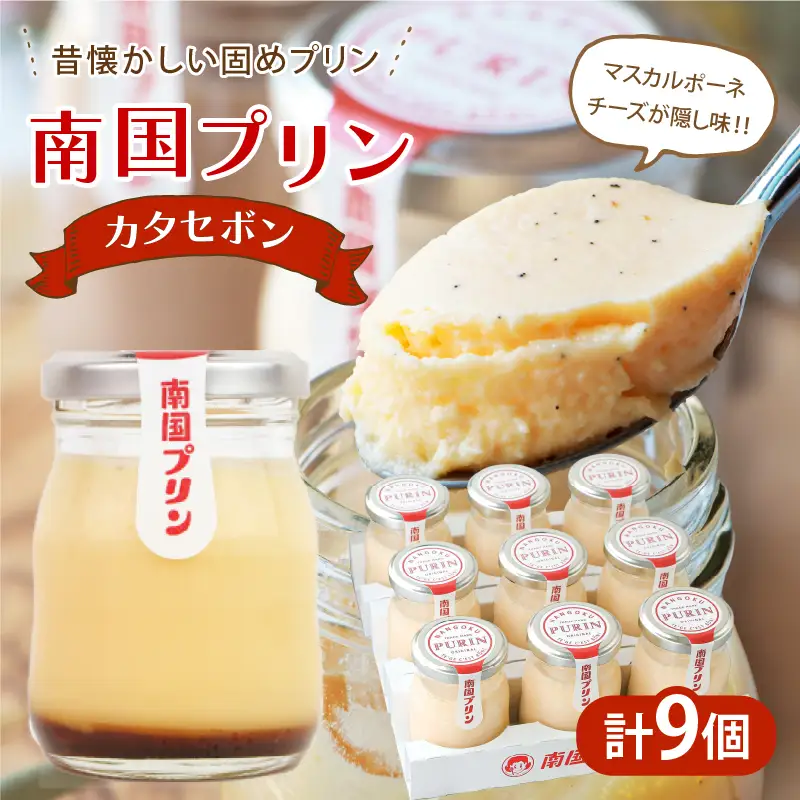 南国プリン「カタセボン(計9個)」 スイーツ 洋菓子 国産_T038-0035