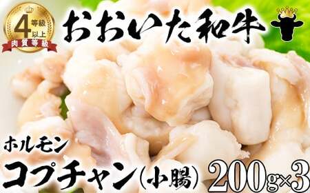 おおいた和牛ホルモン（コプチャン 200g×3）【ニード牧場】 九州 ＜129-018＞