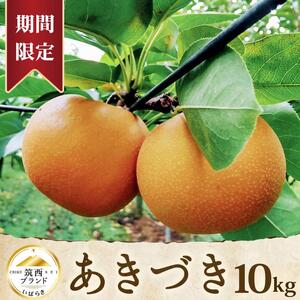 【 JA 北つくば 】 筑西ブランド 認証品 あきづき 10kg 2026年産 先行予約 梨
