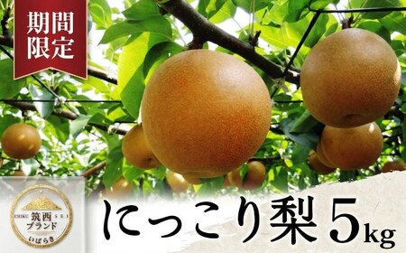 【 JA 北つくば 】 筑西ブランド 認証品 にっこり 5kg 2026年産 先行予約 梨