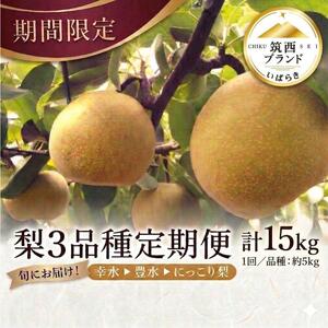 【 JA 北つくば 】 筑西ブランド 認証品 梨 3種 定期便 セット 2026年産 先行予約