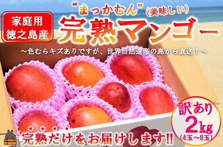 ≪先行予約≫訳あり！【家庭用】徳之島産完熟マンゴー2kg（4～8玉）フルーツ わけあり 訳あり 果物