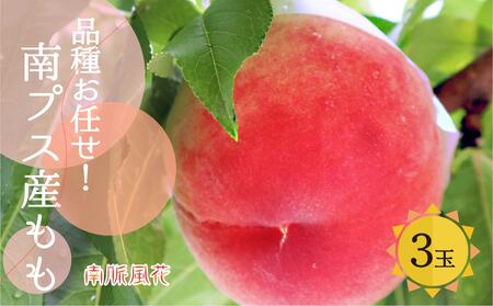 ＜2026年発送先行予約＞朝もぎ直送！桃 食べきりサイズ3玉 ALPAJ002