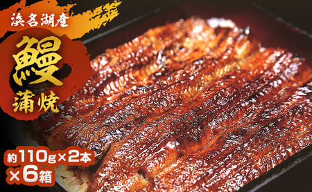 浜名湖鰻蒲焼 約110g 2本×6箱 国産 浜松 鰻 父の日 母の日 土用の丑の日 和食 秘伝のたれ 伝統 炭火ふっくら 柔らか 