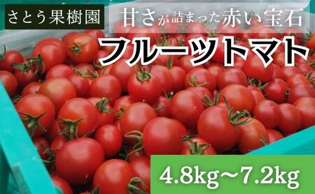 フルーツトマト 《4.8kg～7.2kg》 フルティカ
