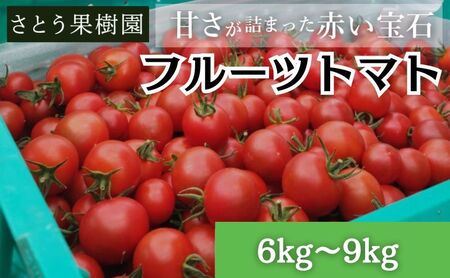 トマト フルーツトマト 6kg～9kg フルティカ 【フルーツトマト】