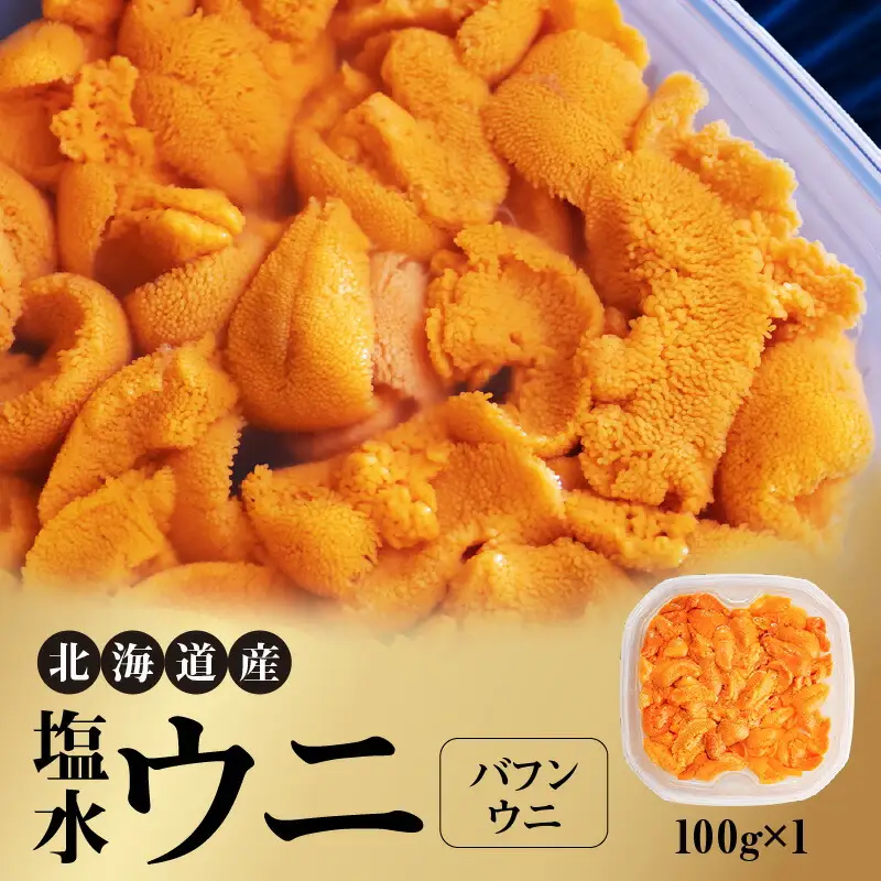 北海道産　世壱屋塩水ウニ（バフンウニ）100g_Y038-0140