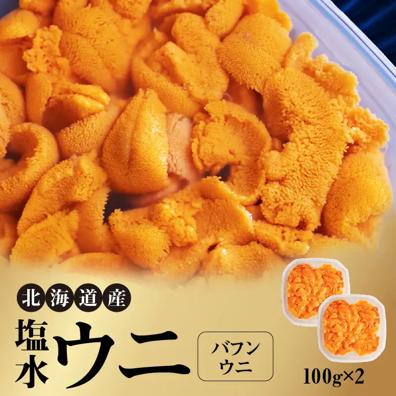 北海道産　世壱屋塩水ウニ（バフンウニ）200g_Y038-0141