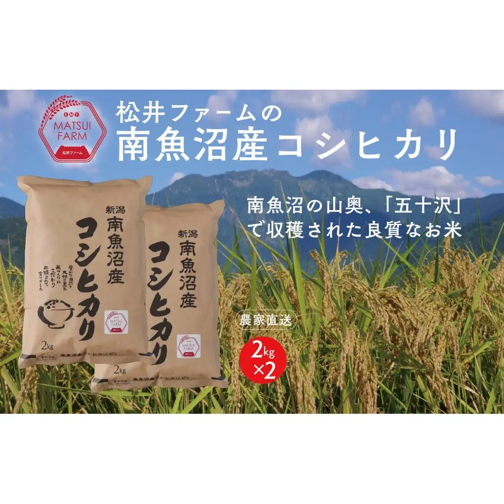 【令和8年産新米予約】【定期便】南魚沼産コシヒカリ（4kg×6回)【定期便 銘柄米 ブランド米 精米 こしひかり コシヒカリ 魚沼産 新潟米 お米 米 こめ コメ ご飯 御飯 ごはん】【2026年10月上旬より1ヶ月以内に順次発送予定】