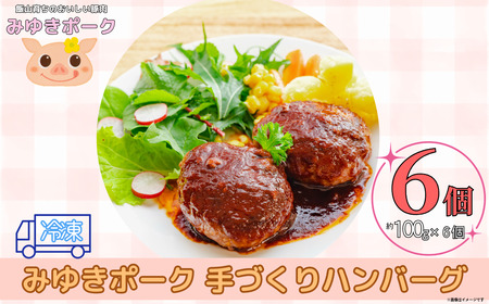 みゆきポーク 手作りハンバーグ （6個入り） （Bo-005）