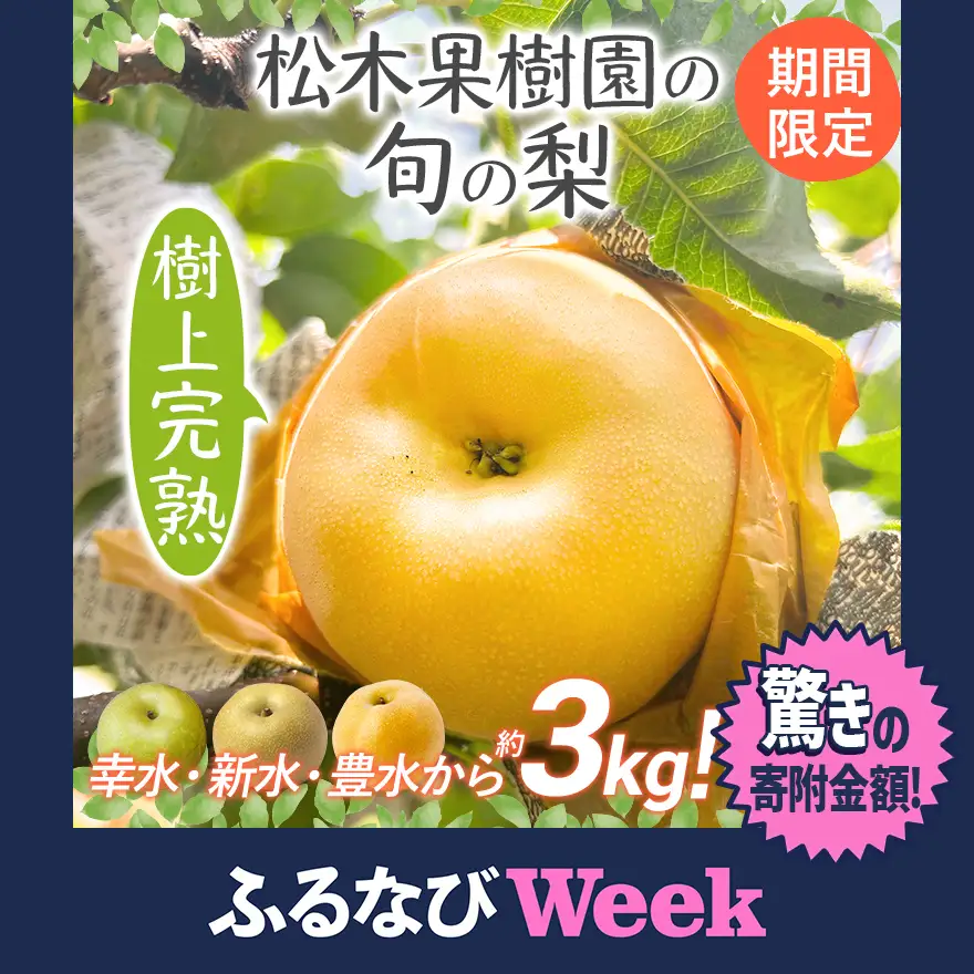 【ふるなびWEEK対象】梨 【先行予約】期間限定 松木果樹園の旬の梨 約3kg  ≪7月下旬～9月上旬に順次出荷予定≫ 幸水 新水 豊水 農家直送 樹上完熟 フルーツ 果物 ギフト 福岡