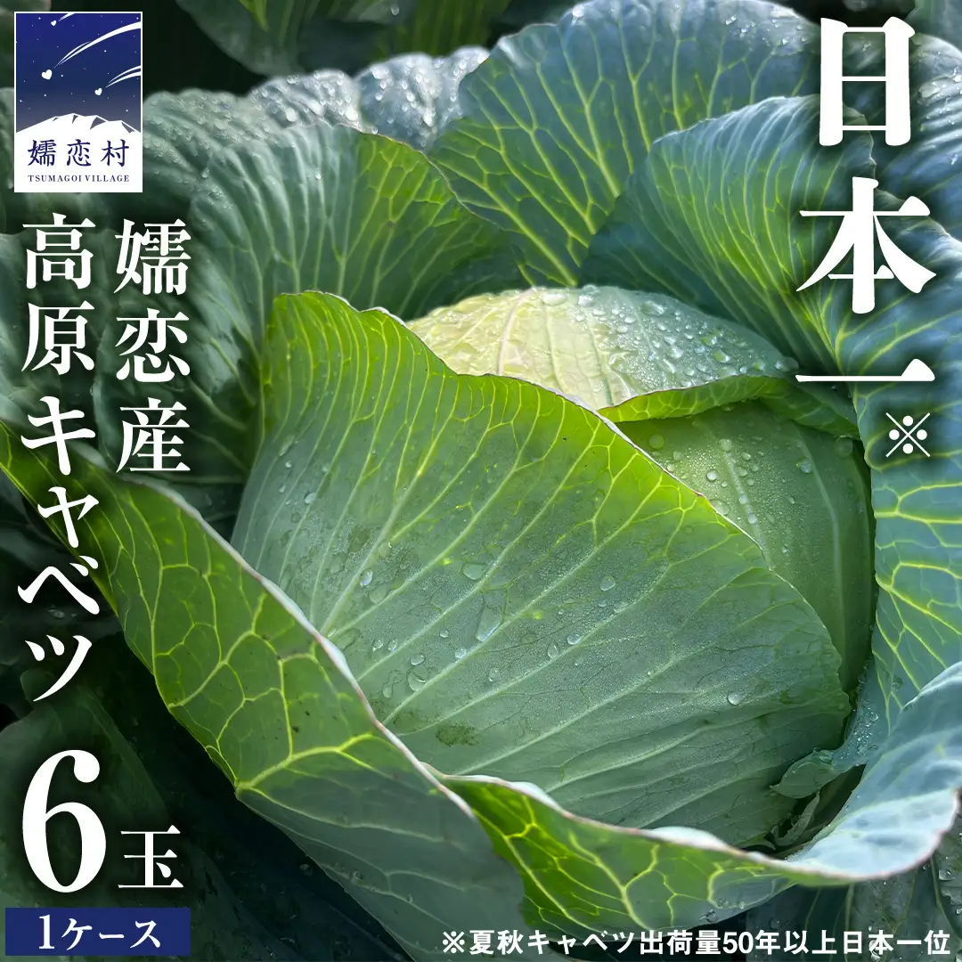 ＜レビューキャンペーン開催中＞ 【7月中旬発送開始】 嬬恋キャベツ 嬬恋産 高原 キャベツ 6玉 1ケース Lサイズ 先行予約 2026年発送 [AS007tu]