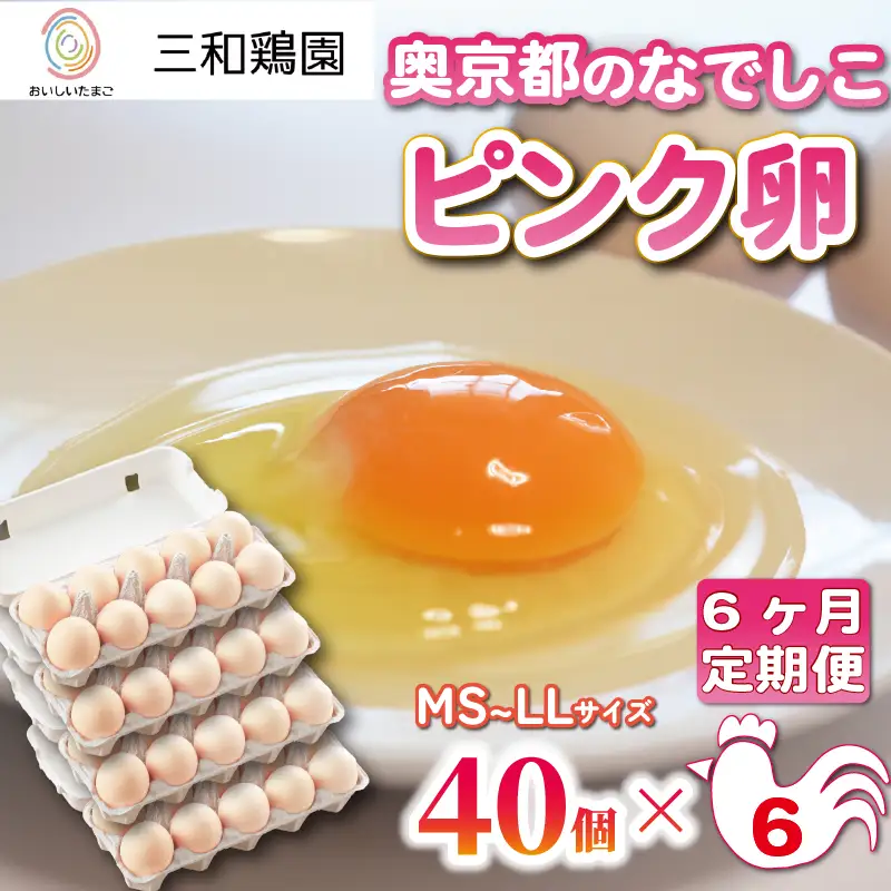 【卵 定期便6か月】奥京都の撫子たまご 卵40個