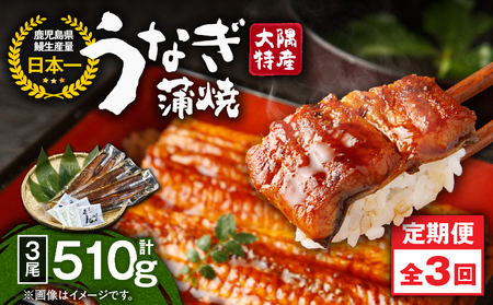 2482 【 定期 3回 】大隅特産 うなぎ蒲焼 3尾（510g）【 国産 】 KN060-T06 魚 冷凍 鰻 定期便