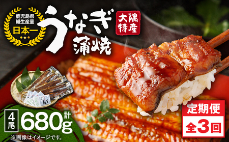 2485 【 定期 3回 】大隅特産 うなぎ蒲焼 4尾（680g）【 国産 】 KN060-T09 魚 冷凍 鰻 定期便