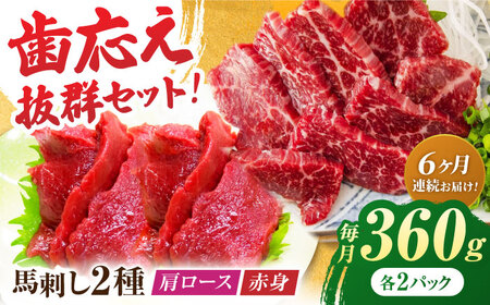 【6回定期便】赤身・肩ロース馬刺し 食べ比べセット 約360g（赤身 約100g×2pc・肩ロース 約80g×2pc）【吉里精肉】[ZEW040]