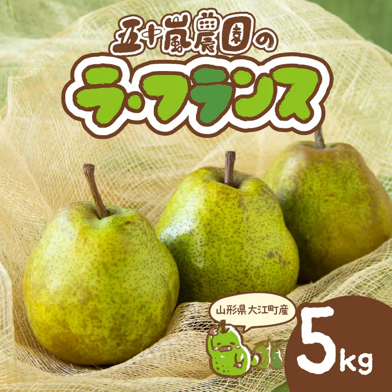 《先行受付》大江町産 山形ラフランス 5kg 13～20玉 L～5L【2026年11月中旬頃～発送予定】 048-005