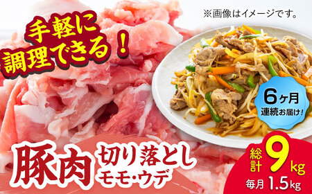 【6回定期便】豚肉切り落とし（モモ・ウデ部位指定なし）約1.5kg（約300g×5pc）【吉里精肉】[ZEW085]