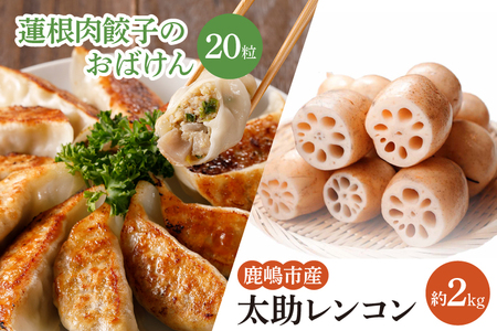 【先行予約】【セット販売】太助レンコン&蓮根肉餃子のおばけん 【2kg&20粒】【野菜 ギョーザ れんこん しゃきしゃき おいしい 食べきり 茨城県 鹿嶋市】（KBU-4）