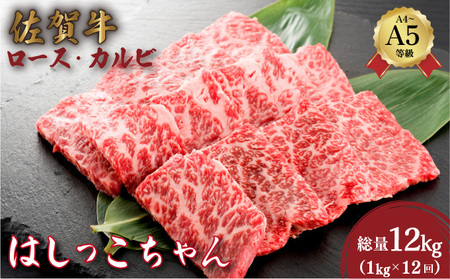 佐賀牛 ロース・カルビ計12kg (1kg×12回)