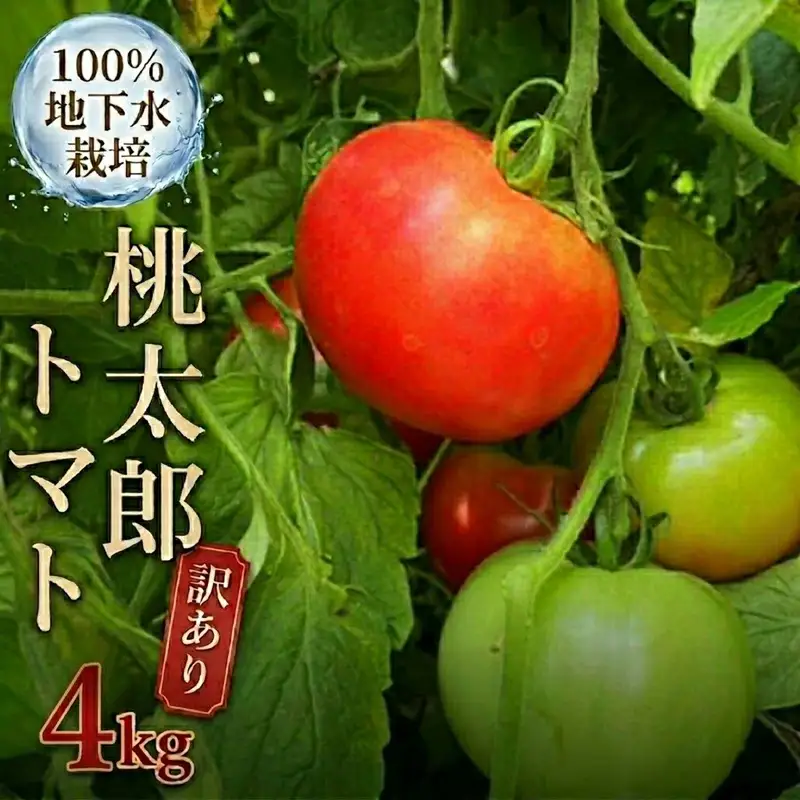 【 訳あり 】 地下水100％で作る美味しい 「 桃太郎トマト 」 4kg 野菜 桃太郎 トマト とまと 地下水 ミネラル