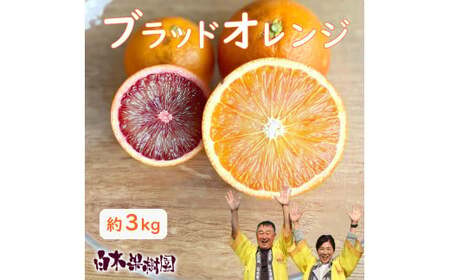 【先行予約】ブラッドオレンジ　約3kg　〈2027年2月中旬?3月中旬頃発送〉  / 果物　柑橘　フルーツ　オレンジ　高知県土佐市　お取り寄せ 産地直送　おいしい 美味しい　白木果樹園【白木果樹園】 [BQAI042]