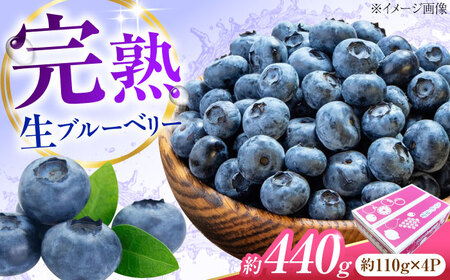 ブルーベリー 生ブルーベリー110g×4 フルーツ 果物 BJBG003