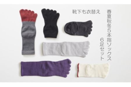 5本指ソックス春夏秋冬セット(22-24㎝)(B422-3)
