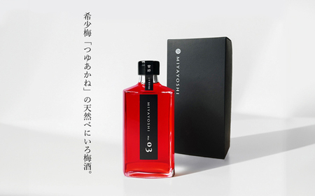 MIYAYOSHI BLACK LABEL　No.03 large bottle(B894-4)